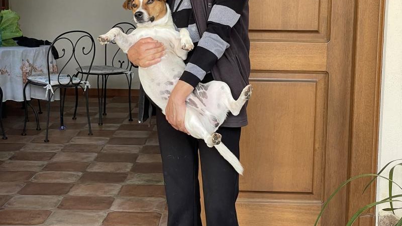 A dog owner conducting a safe outdoor meet-and-greet with a prospective adopter.